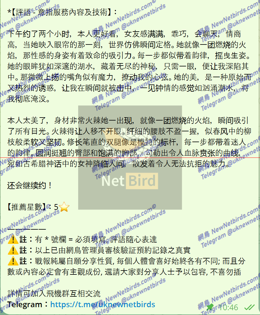 戰號 538 2.png
